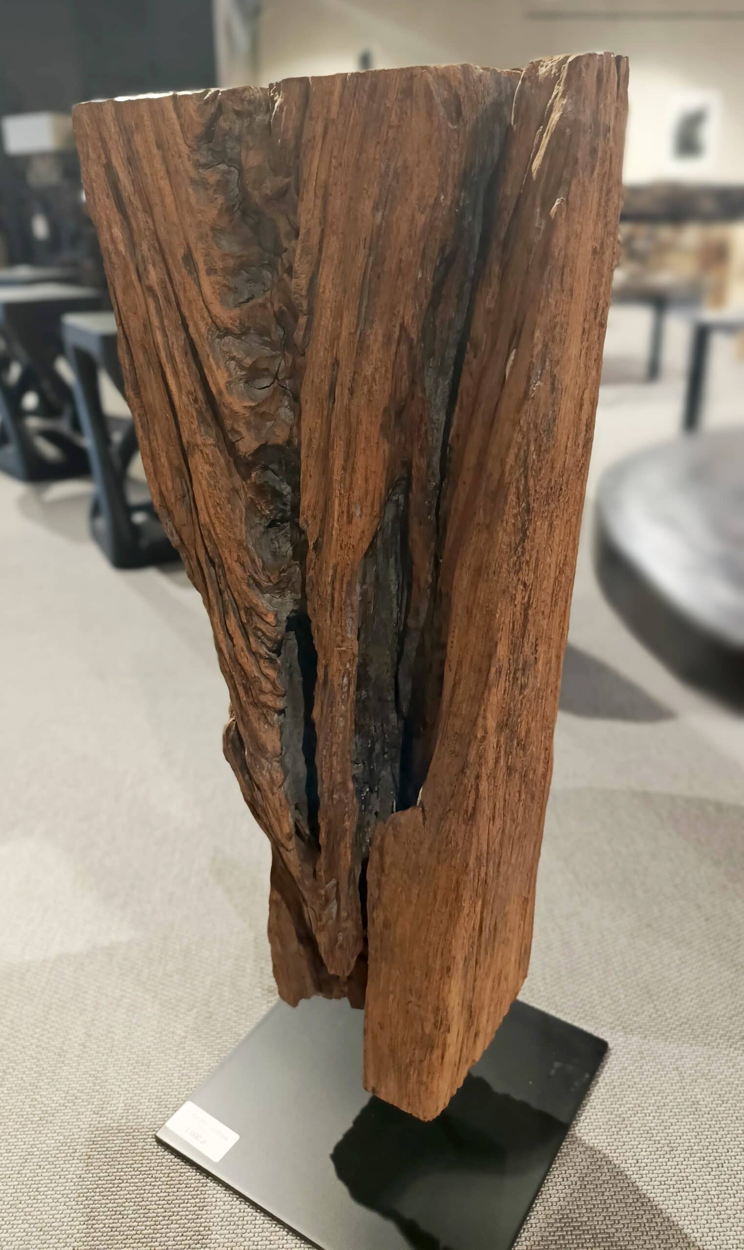 Dekoracja z pnia driftwood #80067 Dekoracja z pnia driftwood #80067