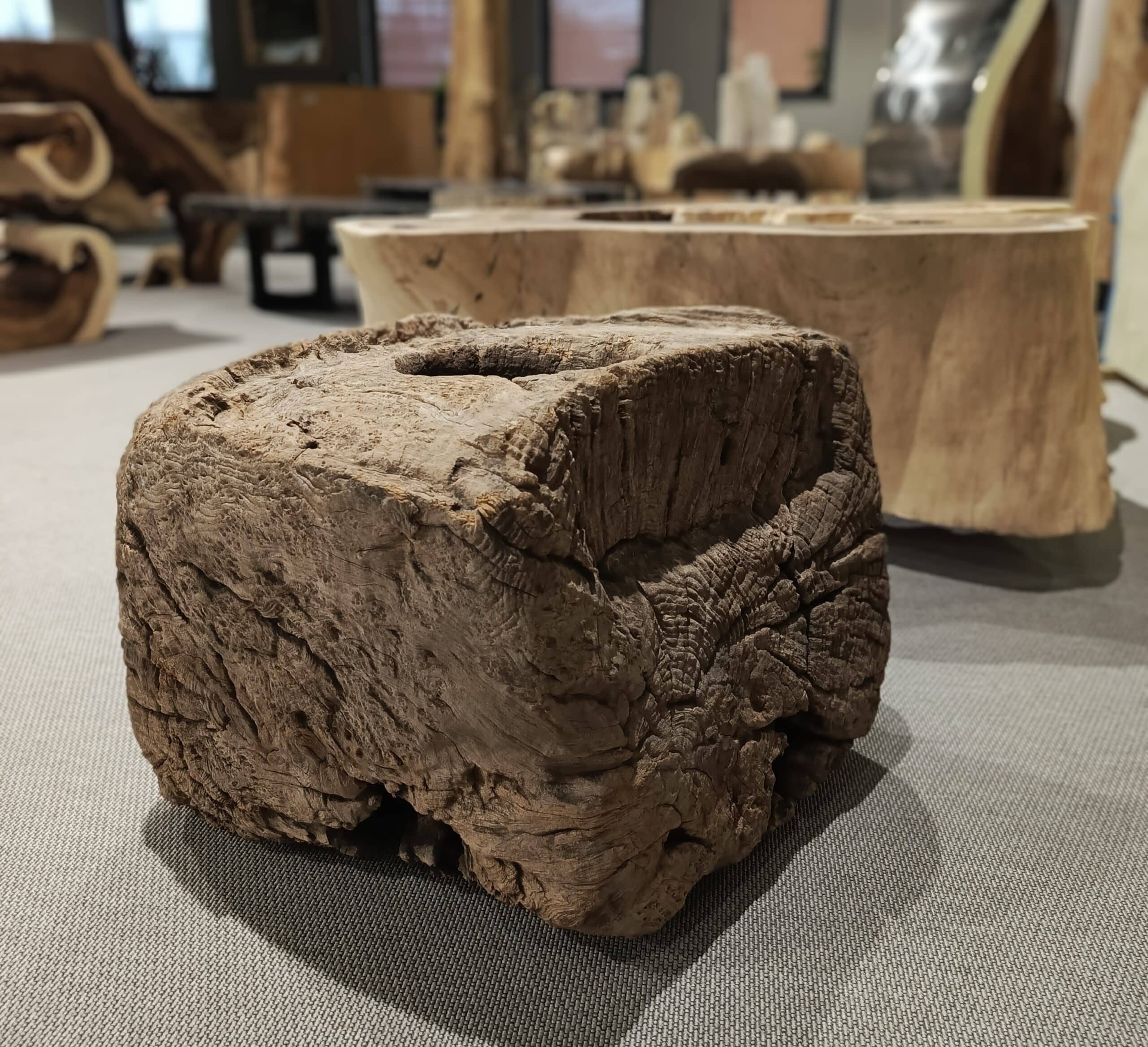 Dekoracja z pnia driftwood #81284 Dekoracja z pnia driftwood #81284