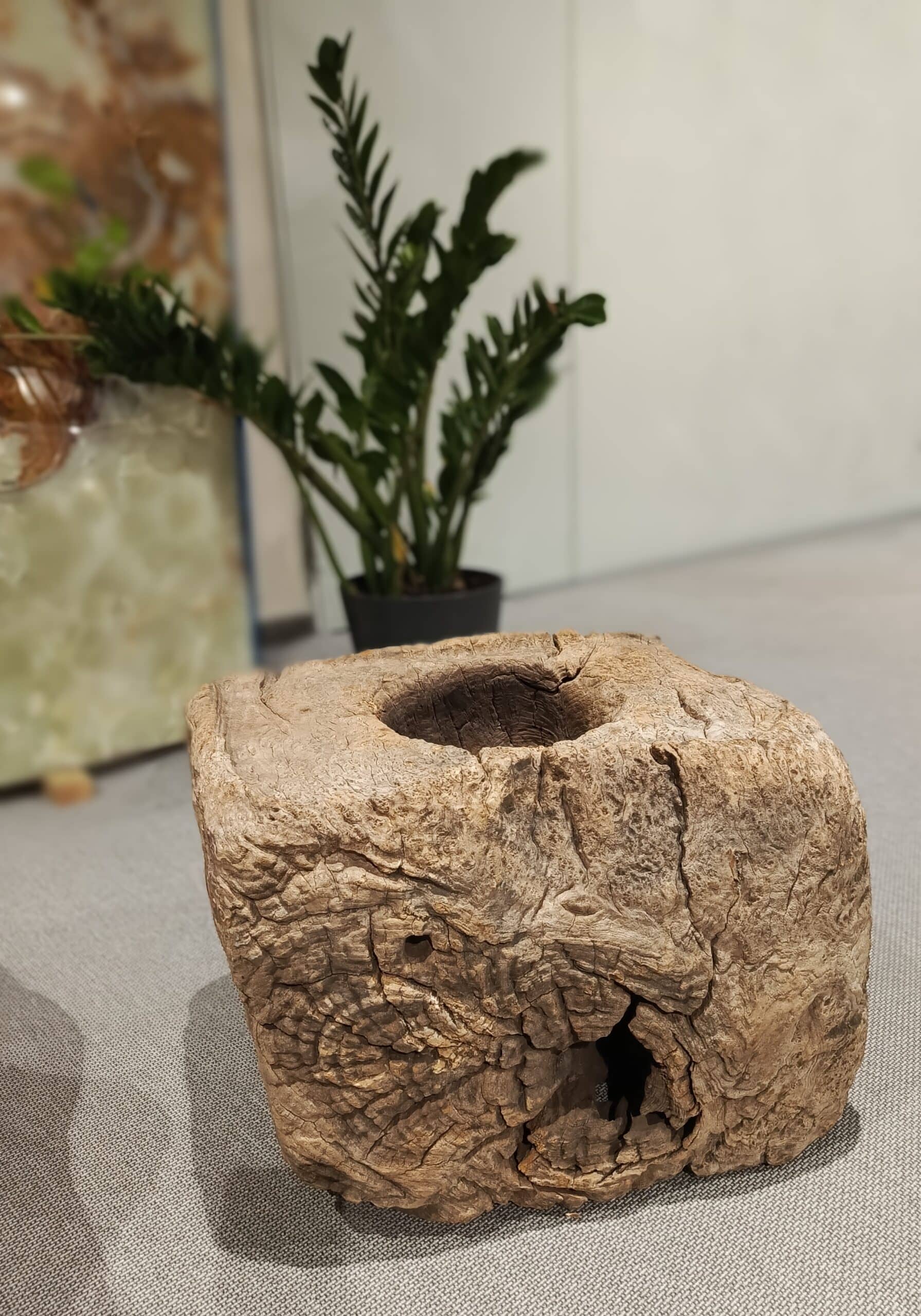 Dekoracja z pnia driftwood #81284 Dekoracja z pnia driftwood #81284