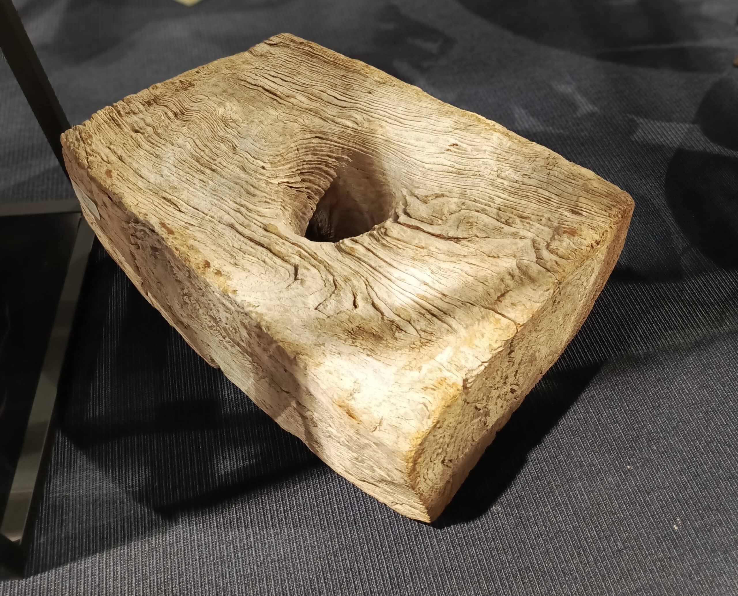 Dekoracja z pnia driftwood #81283 Dekoracja z pnia driftwood #81283
