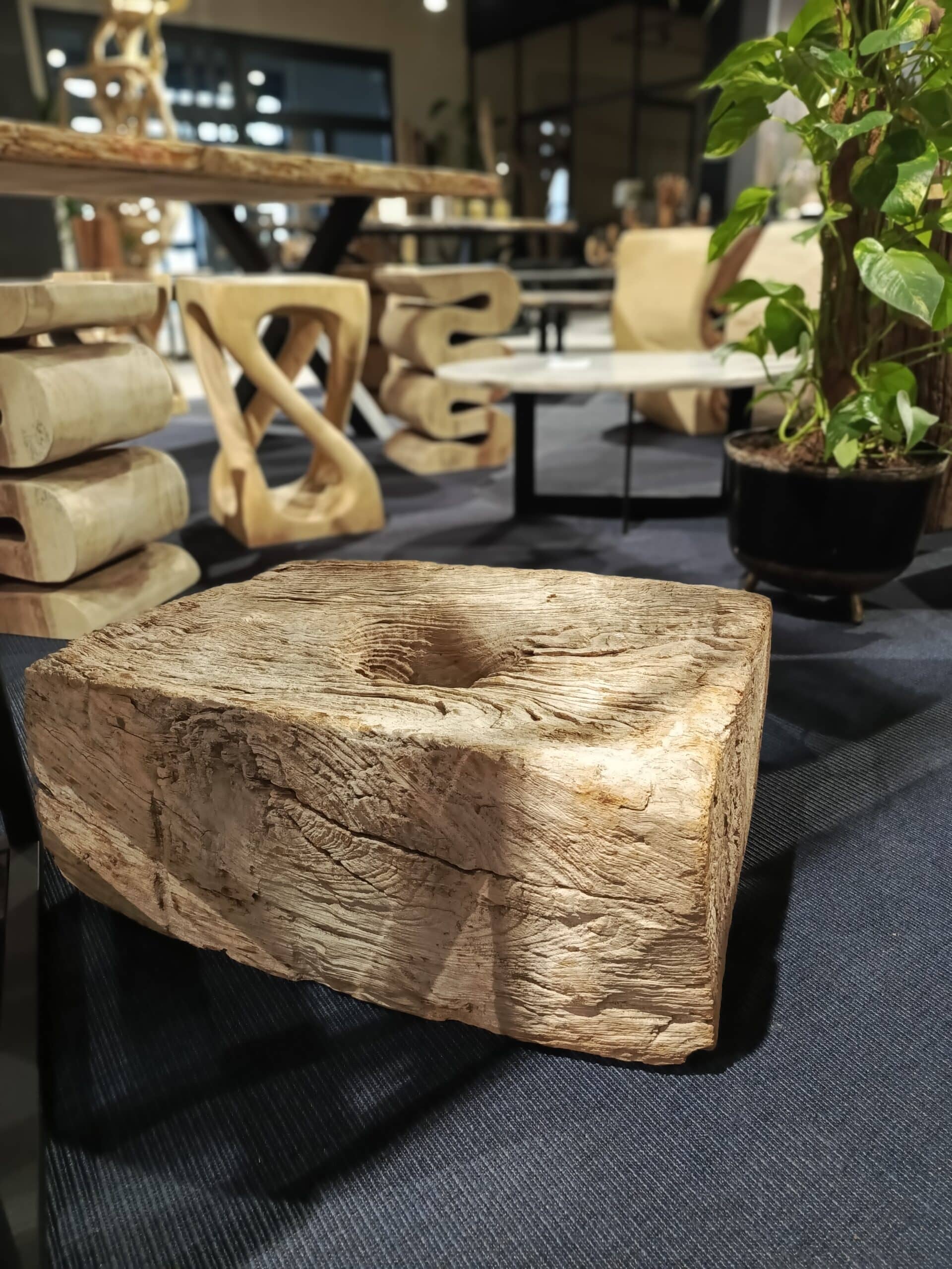 Dekoracja z pnia driftwood #81283 Dekoracja z pnia driftwood #81283