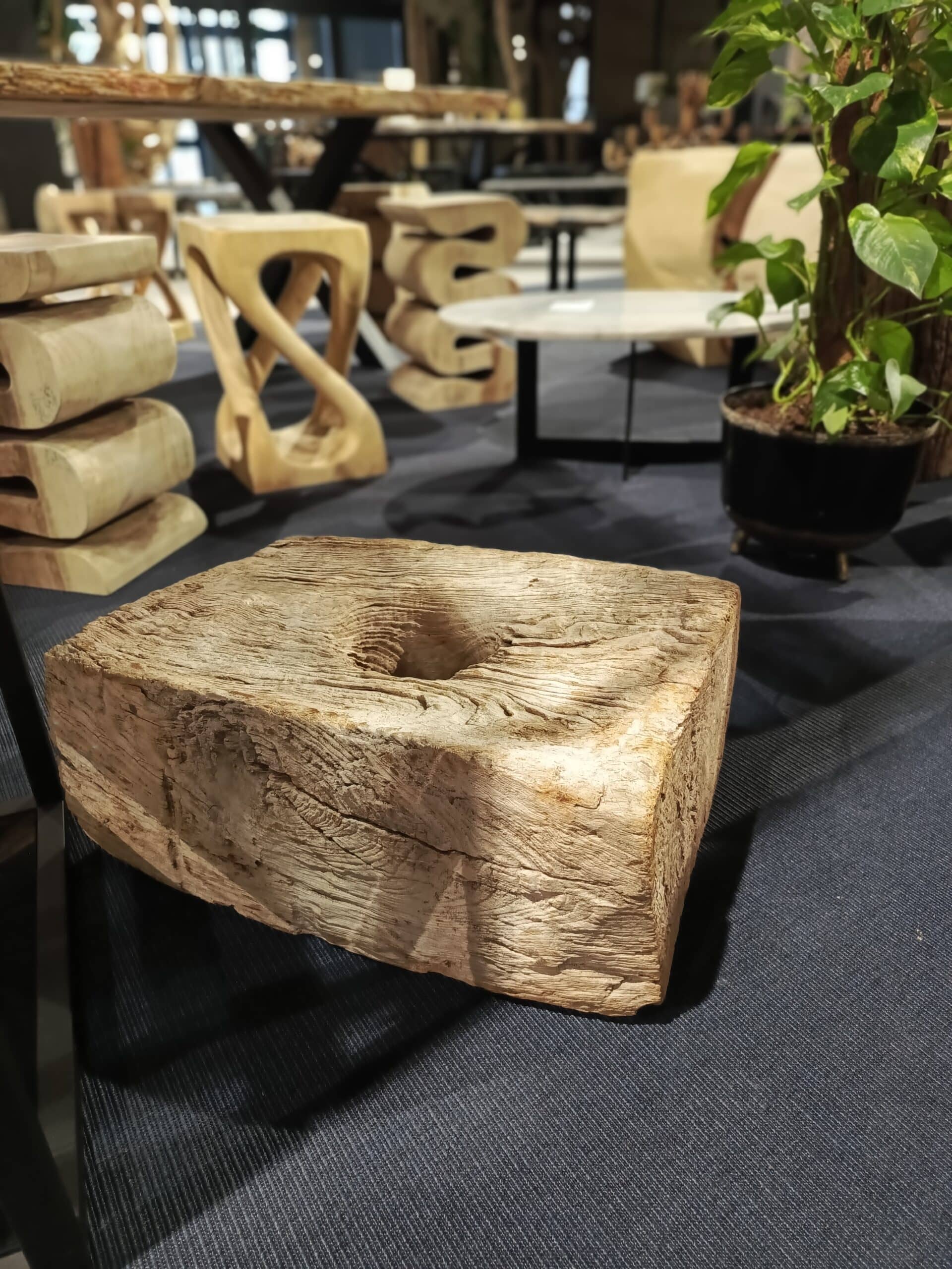 Dekoracja z pnia driftwood #81283 Dekoracja z pnia driftwood #81283