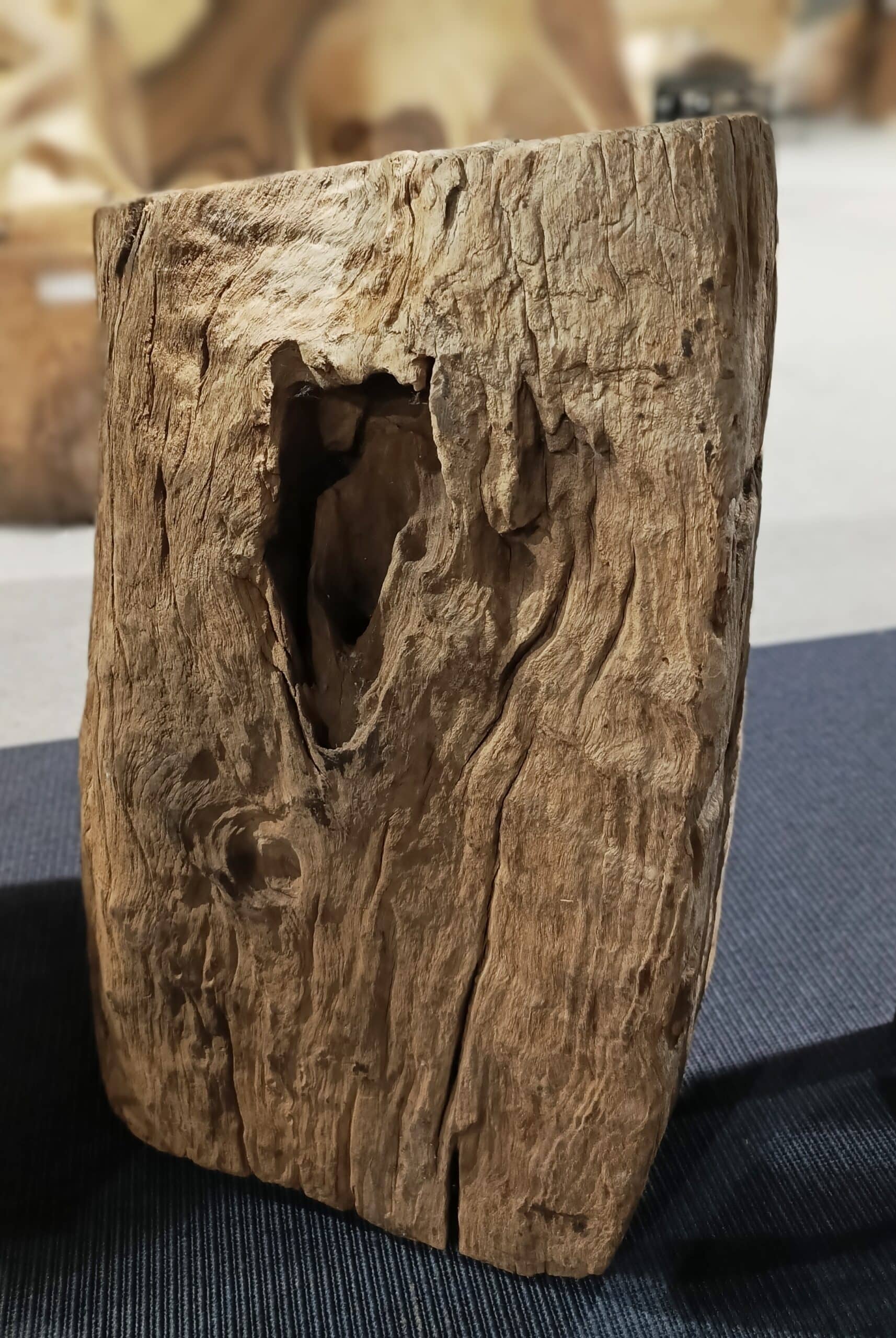 Dekoracja z pnia driftwood #81283 Dekoracja z pnia driftwood #81283