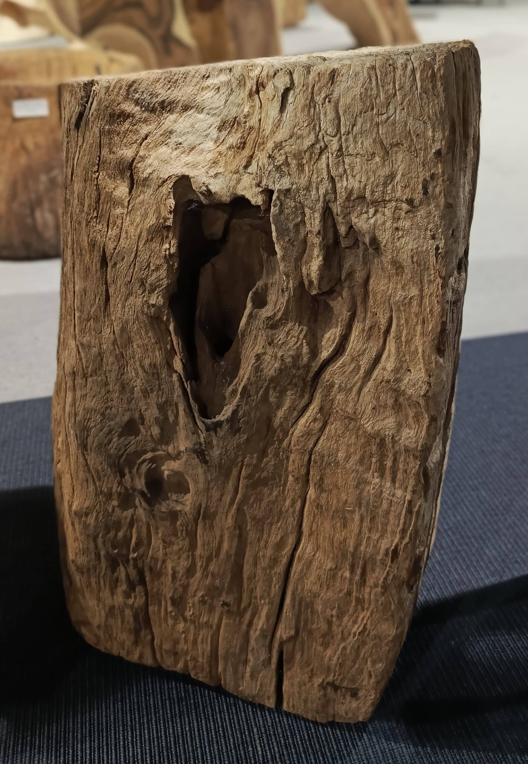 Dekoracja z pnia driftwood #81283 Dekoracja z pnia driftwood #81283