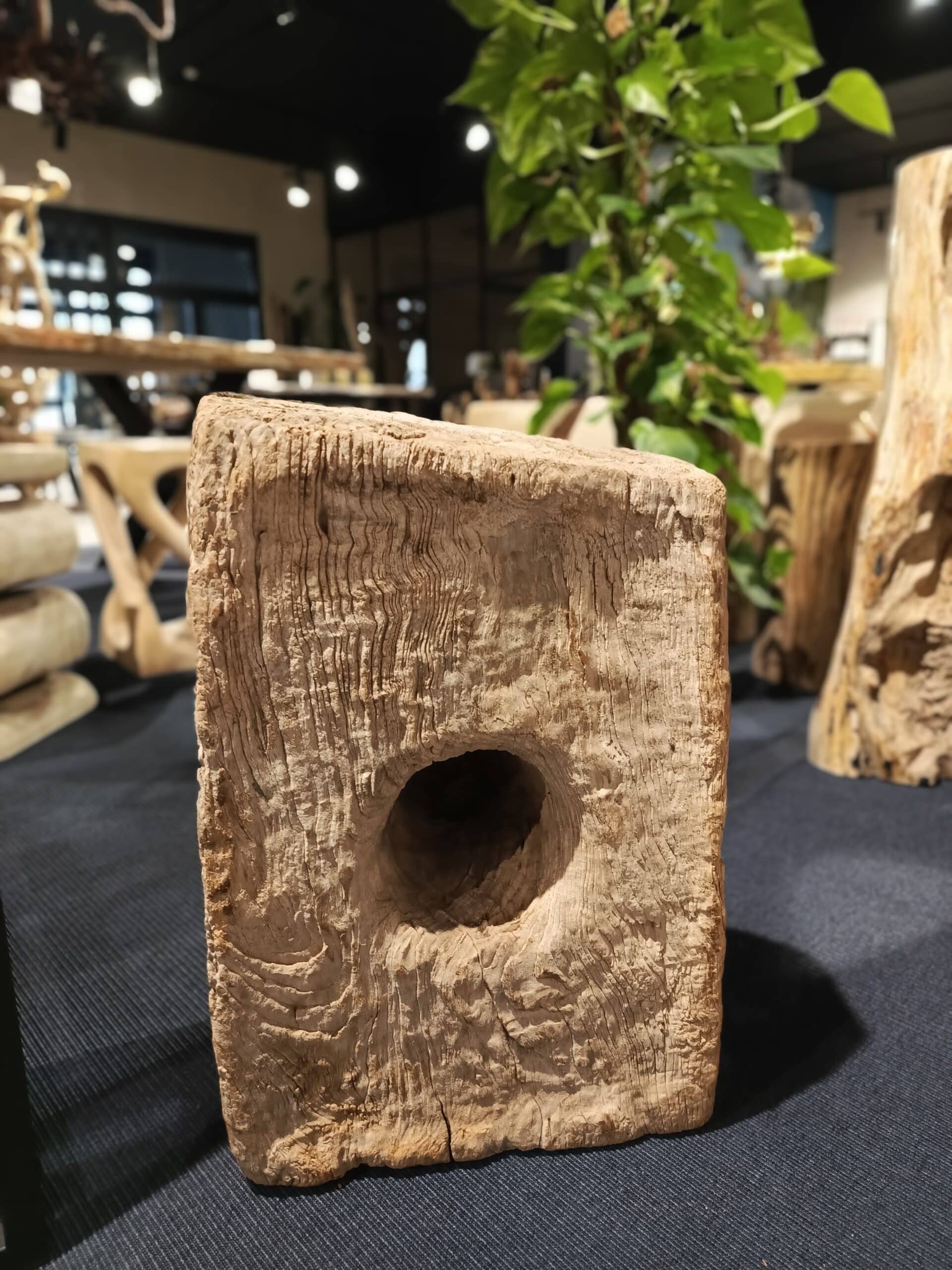 Dekoracja z pnia driftwood #81283 Dekoracja z pnia driftwood #81283