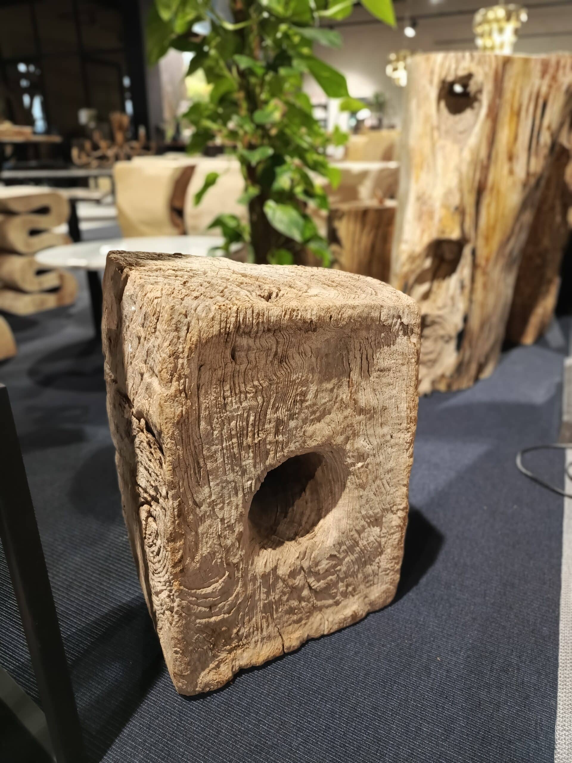 Dekoracja z pnia driftwood #81283 Dekoracja z pnia driftwood #81283