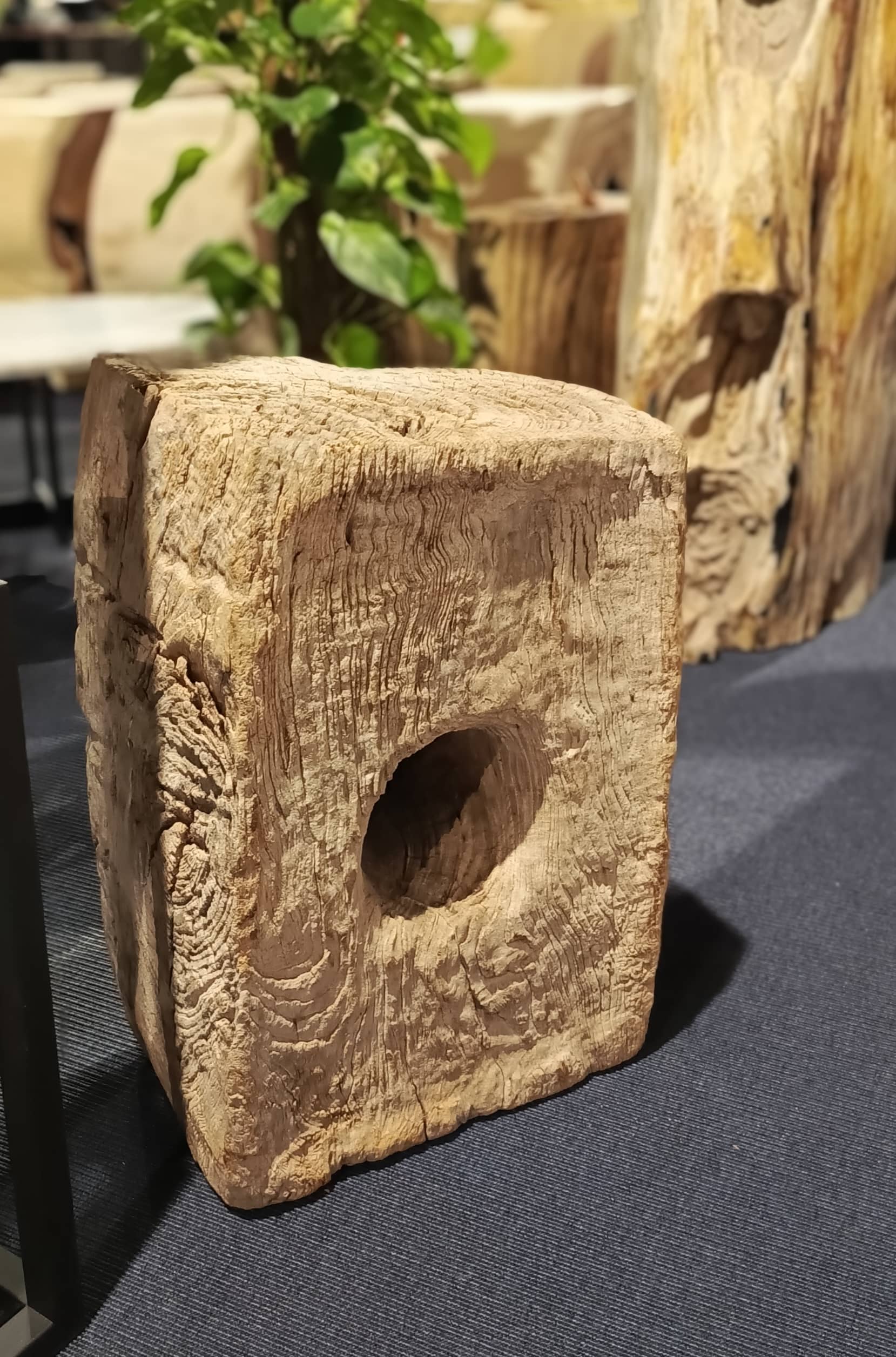 Dekoracja z pnia driftwood #81283 Dekoracja z pnia driftwood #81283