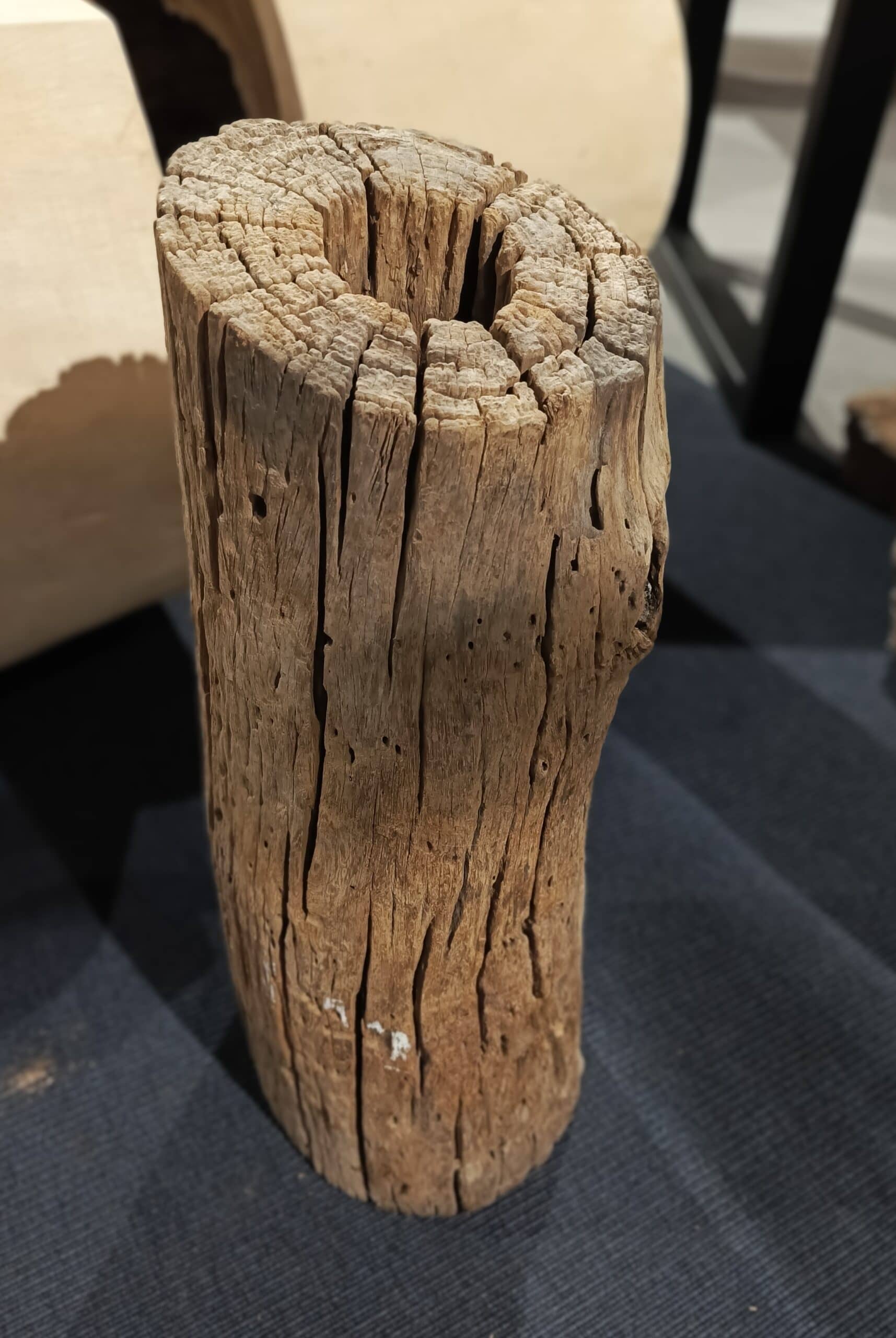Dekoracja z pnia driftwood #JJ-25 Dekoracja z pnia driftwood #JJ-25