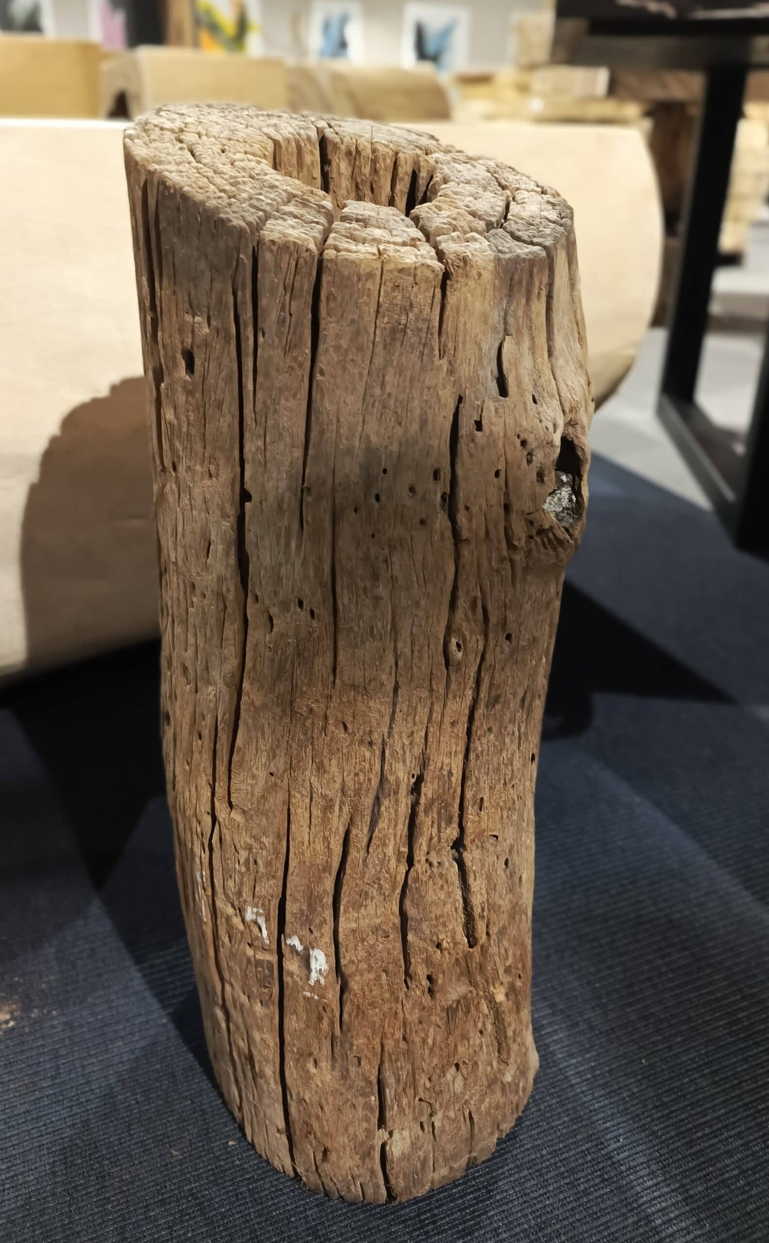 Dekoracja z pnia driftwood #JJ-25 Dekoracja z pnia driftwood #JJ-25