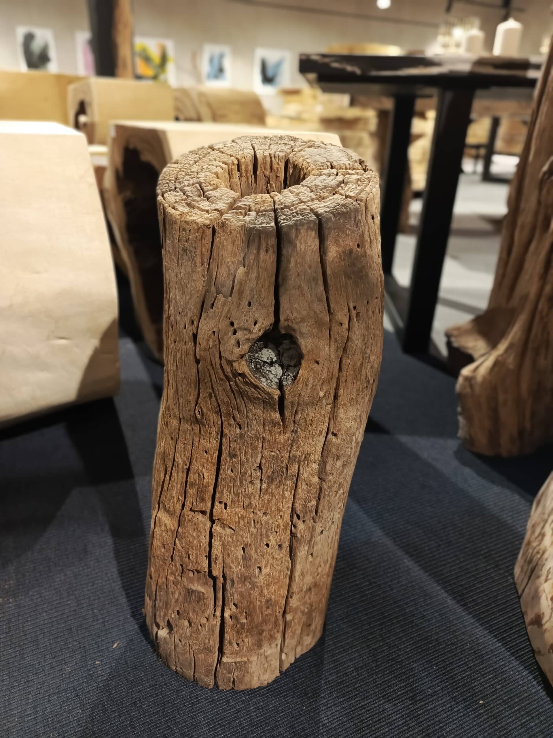 Dekoracja z pnia driftwood #JJ-25 Dekoracja z pnia driftwood #JJ-25