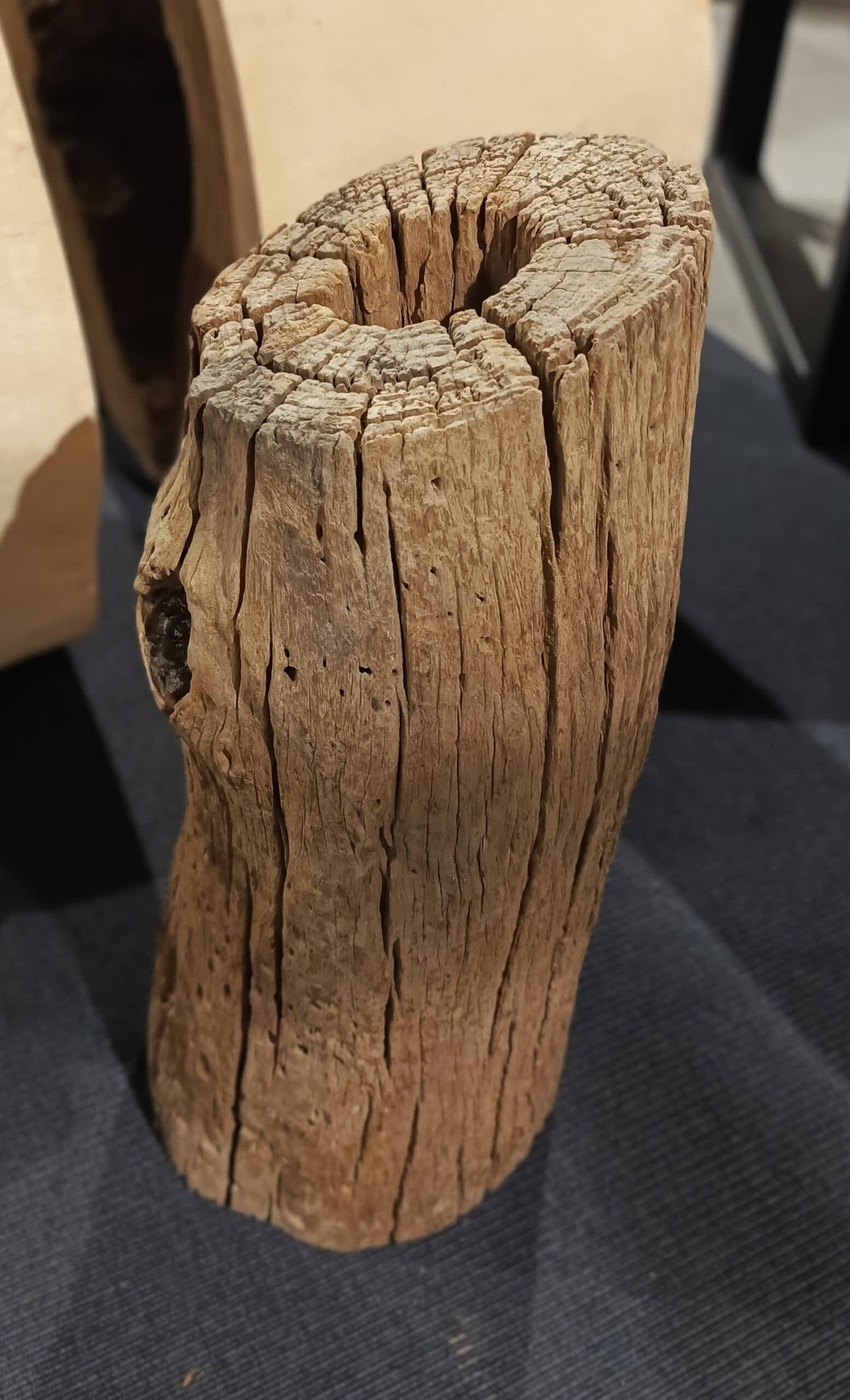 Dekoracja z pnia driftwood #JJ-25 Dekoracja z pnia driftwood #JJ-25