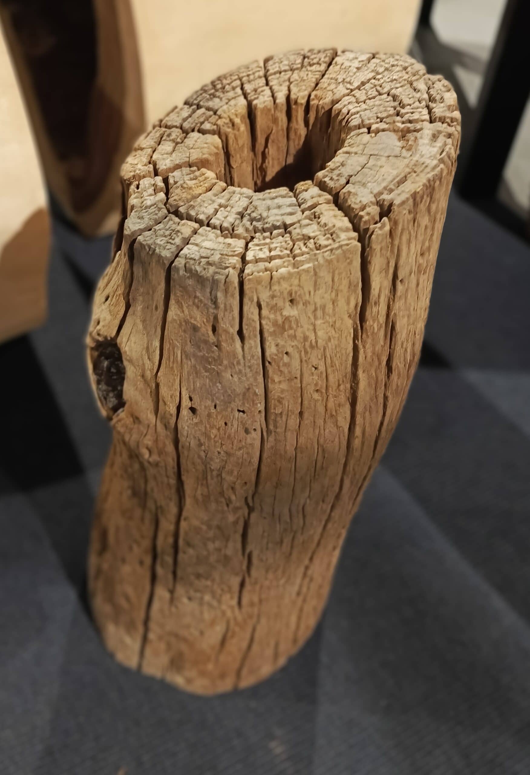 Dekoracja z pnia driftwood #JJ-25 Dekoracja z pnia driftwood #JJ-25