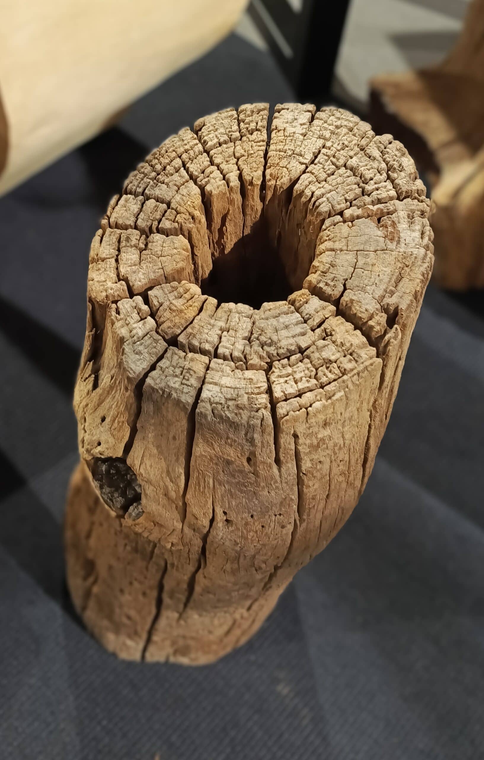 Dekoracja z pnia driftwood #JJ-25 Dekoracja z pnia driftwood #JJ-25