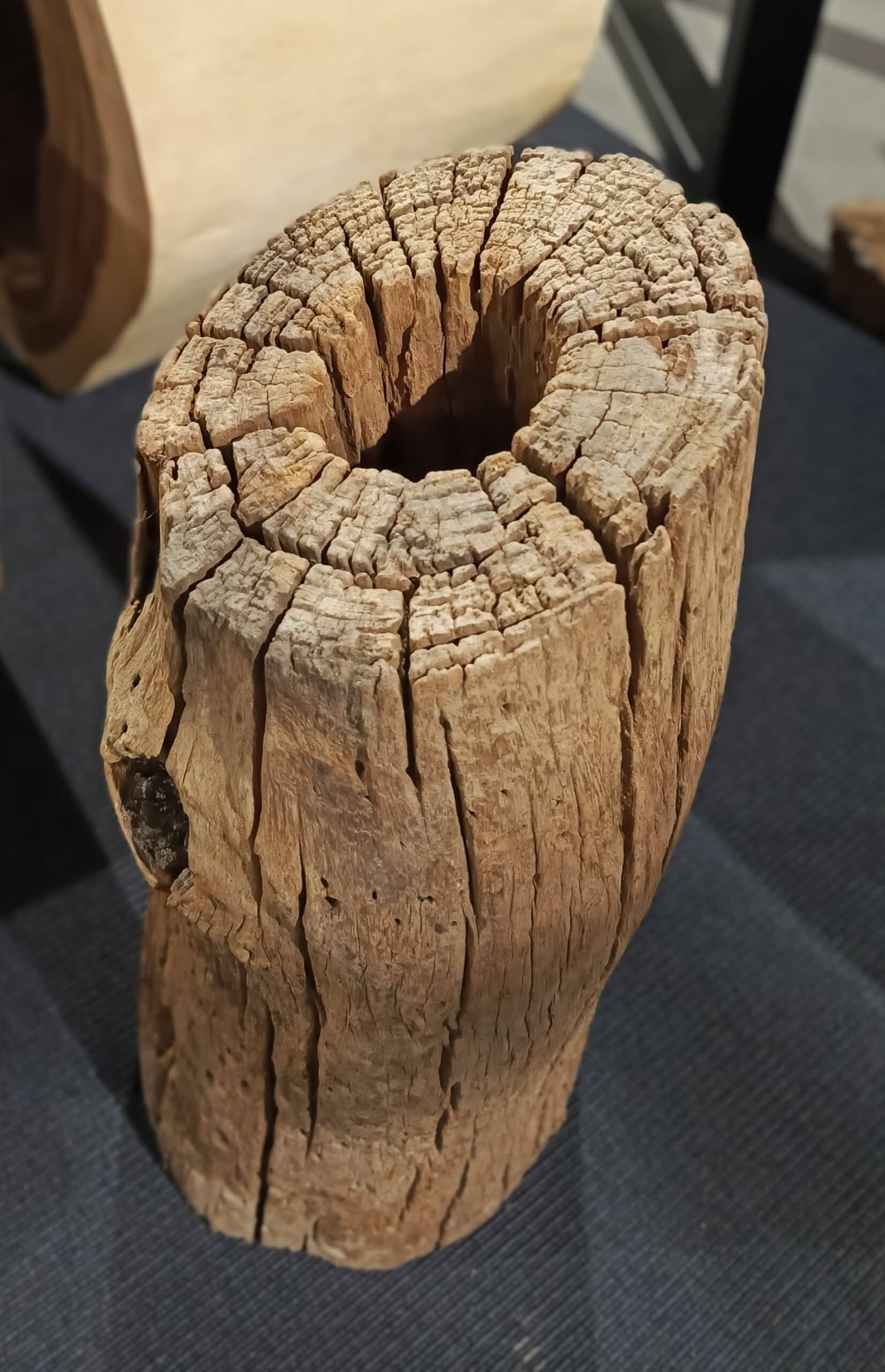 Dekoracja z pnia driftwood #JJ-25 Dekoracja z pnia driftwood #JJ-25